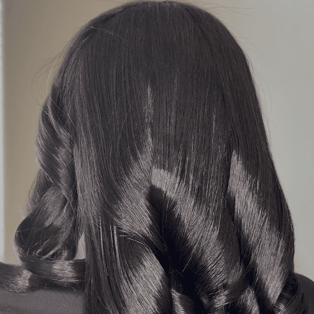 Start Me Up Membership 